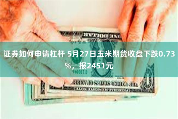 证券如何申请杠杆 5月27日玉米期货收盘下跌0.73%，报2451元