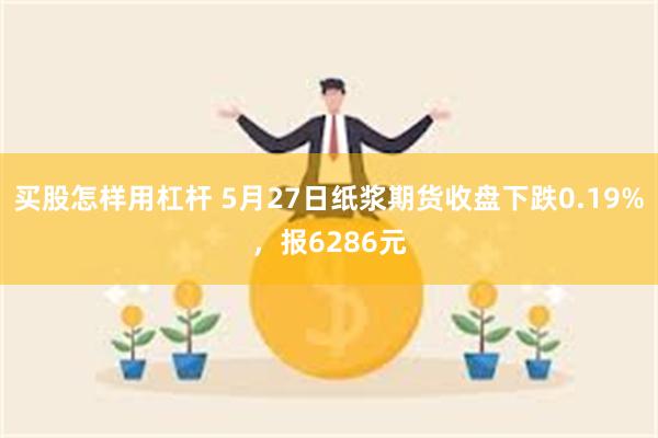 买股怎样用杠杆 5月27日纸浆期货收盘下跌0.19%，报6286元