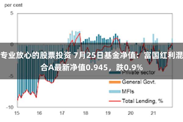 专业放心的股票投资 7月25日基金净值：富国红利混合A最新净值0.945，跌0.9%