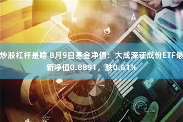 炒股杠杆是啥 8月9日基金净值：大成深证成份ETF最新净值0.8891，跌0.61%