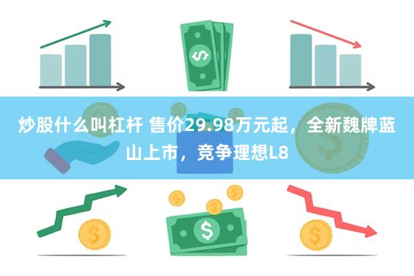 炒股什么叫杠杆 售价29.98万元起，全新魏牌蓝山上市，竞争理想L8