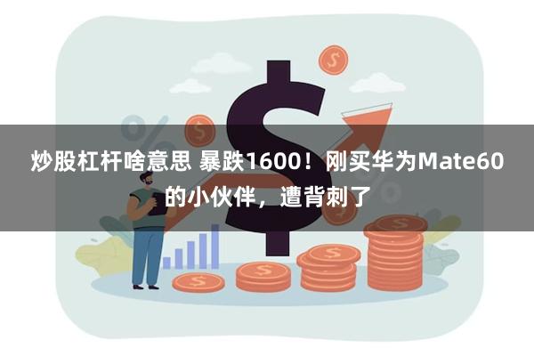 炒股杠杆啥意思 暴跌1600！刚买华为Mate60的小伙伴，遭背刺了