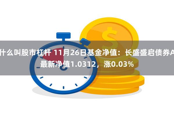 什么叫股市杠杆 11月26日基金净值：长盛盛启债券A最新净值1.0312，涨0.03%