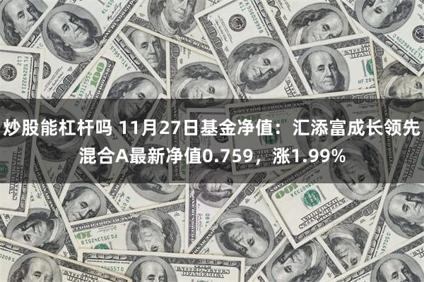 炒股能杠杆吗 11月27日基金净值：汇添富成长领先混合A最新净值0.759，涨1.99%