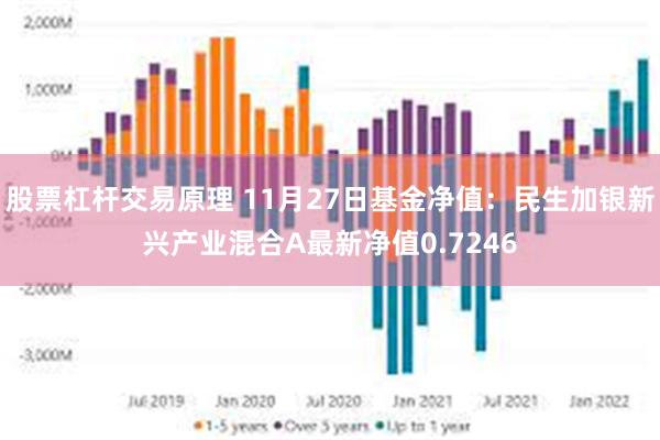 股票杠杆交易原理 11月27日基金净值：民生加银新兴产业混合A最新净值0.7246