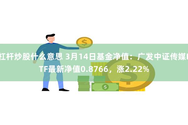 杠杆炒股什么意思 3月14日基金净值：广发中证传媒ETF最新净值0.8766，涨2.22%