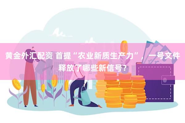 黄金外汇配资 首提“农业新质生产力”，一号文件释放了哪些新信号？