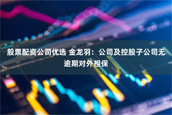 股票配资公司优选 金龙羽:公司及控股子公司无逾期对外担保